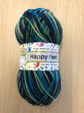 Countrywide Happy Feet 4ply Sock Yarn 31