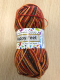 Countrywide Happy Feet 4ply Sock Yarn 35