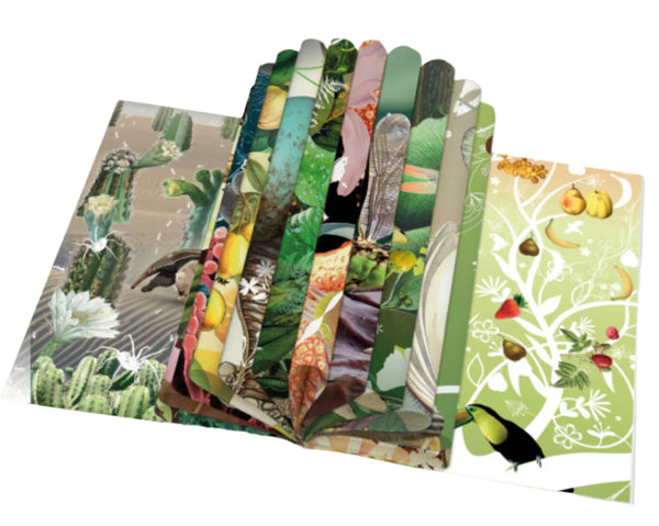 Bekking & Blitz Gift Wrap Book - Miraculous Planet, Tord Boontje, Naturalis