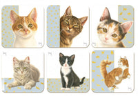 Bekking & Blitz Coaster Set: Franciens Katten Francien van Westering