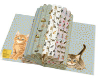 Bekking & Blitz Gift Wrap Book Fancien van Westering