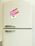 Bold & Bright Funny Fridge Magnets