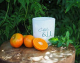 Eddie & Lu Coconut Wax Candle Mandarin & Basil - Large 265G