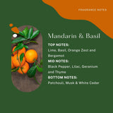 Eddie & Lu Mandarin & Basil Natural Hand & Body Wash