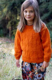 Little Cupcakes Ginger Sweater LF60, 1-10 years 12ply Knitting Pattern