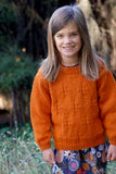 Little Cupcakes Ginger Sweater LF60, 1-10 years 12ply Knitting Pattern