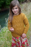 Little Cupcakes Blaze Sweater  LF55 1-10 years Knitting Pattern 8ply