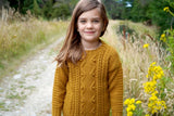 Little Cupcakes Blaze Sweater  LF55 1-10 years Knitting Pattern 8ply