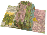 Bekking & Blitz Gift Wrap Book Rijksmusuem Maria Sibylla Merian