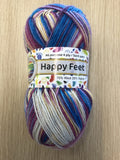 Countrywide Happy Feet 4ply Sock Yarn 23
